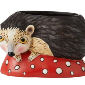 Hank The Hedgehog Planter