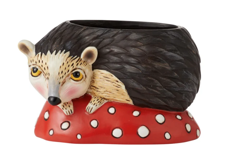 Hank The Hedgehog Planter